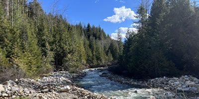 Interior BC Mountain Stream