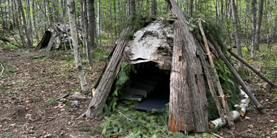 Debris or Sapling Shelters