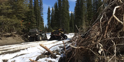 2 ATV's Stopped on a Cutline in Winter