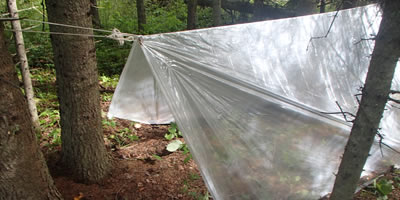 Improvised Lean-to Shelter in the Boreal Forest